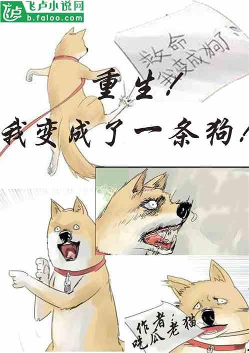 猫猫吃瓜视频合集 第2张 猫猫吃瓜视频合集 第2张